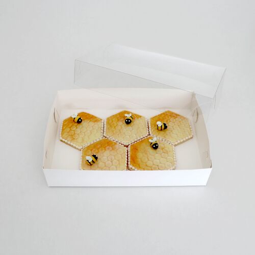 Clear Lid Biscuit Box 10x7x2in High 