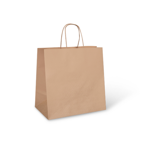 Twist Handle Kraft Paper Bag  Large - 340x240x120mm