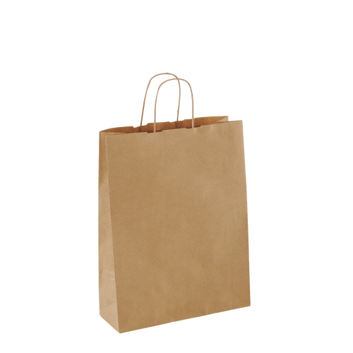 Twist Handle Kraft Paper Bag  Small -350X260X90MM