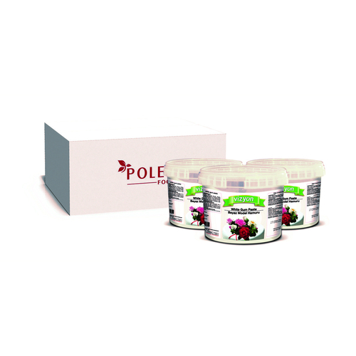 Vizyon Gum Paste White 1kg Best Before 10/2024